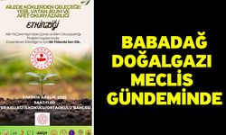 Babadağ Doğalgazı Meclis Gündeminde