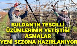 Buldan'ın tescilli üzümlerinin yetiştiği asmalar yeni sezona hazırlanıyor