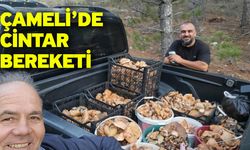 Çameli’de Cintar Bereketi
