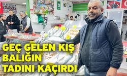 Geç gelen kış balığın tadını kaçırdı