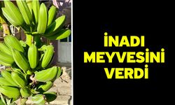 İnadı meyvesini verdi