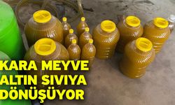 Kara Meyve Altın Sıvıya Dönüşüyor