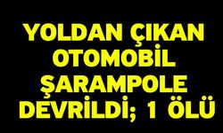 Yoldan çıkan otomobil şarampole devrildi; 1 ölü