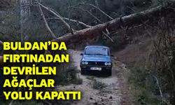 Buldan’da fırtınadan devrilen ağaçlar yolu kapattı