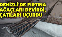 Denizli’de fırtına ağaçları devirdi, çatıları uçurdu