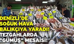 Denizli’de Soğuk Hava Balıkçıya Yaradı! Tezgahlarda "Gümüş" Mesaisi!