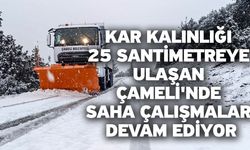 Kar kalınlığı 25 santimetreye ulaşan Çameli'nde saha çalışmalar devam ediyor
