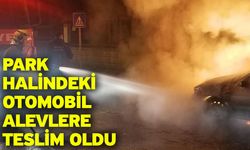Park Halindeki Otomobil Alevlere Teslim Oldu