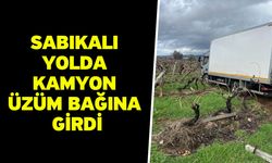 Sabıkalı yolda kamyon üzüm bağına girdi