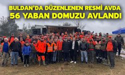 Buldan’da düzenlenen resmi avda 56 yaban domuzu avlandı