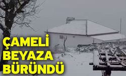 Çameli beyaza büründü