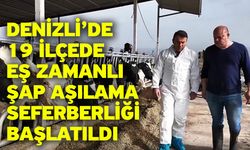 Denizli’de 19 İlçede Eş Zamanlı Şap Aşılama Seferberliği Başlatıldı