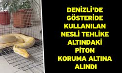 Denizli'de gösteride kullanılan nesli tehlike altındaki piton koruma altına alındı