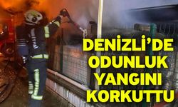Denizli’de odunluk yangını korkuttu