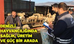 Denizli Hayvancılığında Sağlık, Üretim Ve Güç Bir Arada