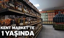 183 bin 700 kişiye doğrudan destek