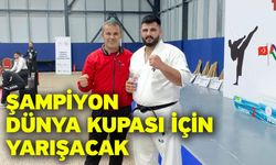 Şampiyon dünya kupası için yarışacak