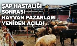 Şap Hastalığı Sonrası Hayvan Pazarları Yeniden Açıldı