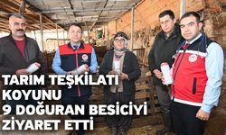Tarım teşkilatı koyunu 9 doğuran besiciyi ziyaret etti