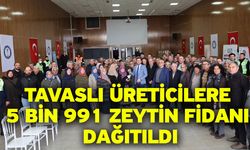 Tavaslı üreticilere 5 bin 991 zeytin fidanı dağıtıldı