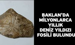 Baklan’da milyonlarca yıllık deniz yıldızı fosili bulundu