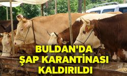 Buldan'da şap karantinası kaldırıldı