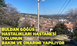 Buldan Göğüs Hastalıkları Hastanesi yolunun bakım ve onarımı yapılıyor