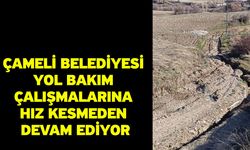 Çameli Belediyesi yol bakım çalışmalarına hız kesmeden devam ediyor