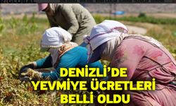 Denizli’de yevmiye ücretleri belli oldu