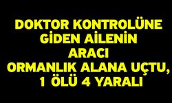 Doktor Kontrolüne Giden Ailenin Aracı Ormanlık Alana Uçtu, 1 Ölü 4 Yaralı