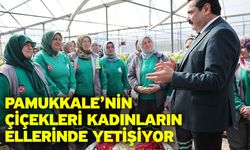 Pamukkale’de Kadın Eli Değen Modern Fidan Üretim Merkezi Açıldı!