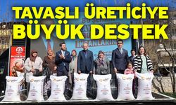 Tavaslı Üreticiye Büyük Destek