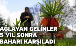 Ağlayan gelinler 5 yıl sonra baharı karşıladı