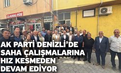 AK Parti Denizli’de saha çalışmalarına hız kesmeden devam ediyor