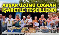 Avşar Üzümü coğrafi işaretle tescillendi