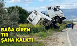 Bağa giren tır şaha kalktı