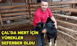 Çal’da Mert için yürekler seferber oldu