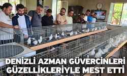 Denizli azman güvercinleri güzellikleriyle mest etti