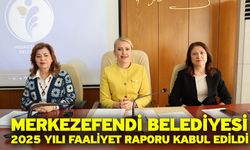 Merkezefendi Belediyesi 2025 Yılı Faaliyet Raporu Kabul Edildi