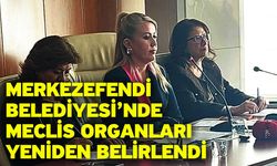 Merkezefendi Belediyesi’nde Meclis Organları Yeniden Belirlendi