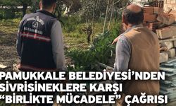 Pamukkale Belediyesi’nden Sivrisineklere Karşı “Birlikte Mücadele” Çağrısı