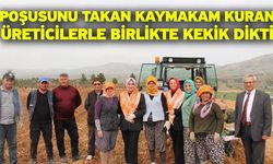 Poşusunu takan Kaymakam Kuran üreticilerle birlikte kekik dikti