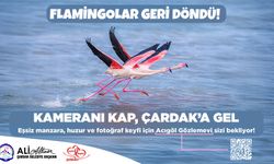 Flamingolar Geri Döndü! Çardak’a Davet Var