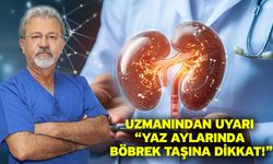 Uzmanından uyarı “Yaz aylarında böbrek taşına dikkat!”