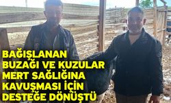 Bağışlanan buzağı ve kuzular Mert sağlığına kavuşması için desteğe dönüştü