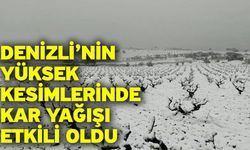 Denizli’nin yüksek kesimlerinde kar yağışı etkili oldu