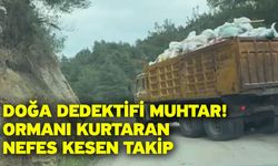 Doğa dedektifi muhtar! Ormanı kurtaran nefes kesen takip
