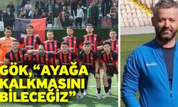 Gök, “Ayağa kalkmasını bileceğiz”