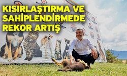 Denizli Büyükşehir’den sokak hayvanlarında kalıcı çözüm hamlesi