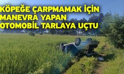 Köpeğe çarpmamak için manevra yapan otomobil tarlaya uçtu